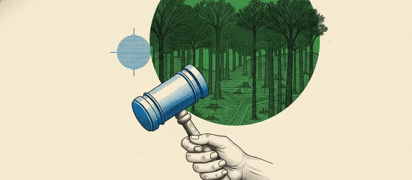 Ilustracao editorial da coluna: A floresta que um juiz decide